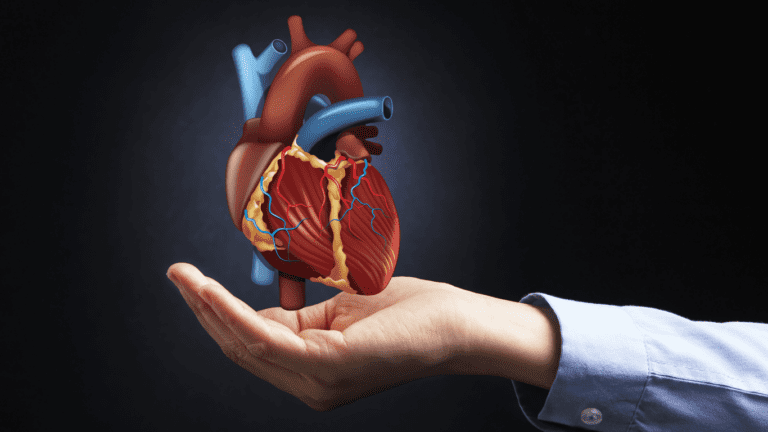 Kalp Ritim Bozuklukları: Kardiyoloji Uzmanından Açıklamalar